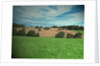 Farmland near Osmaston by Sarah Smith