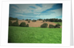 Farmland near Osmaston by Sarah Smith