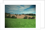 Farmland near Osmaston by Sarah Smith