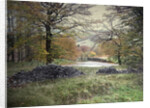 Autumnal Colours near Fernilee Reservoir by Sarah Smith