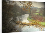 The River Etherow by Sarah Smith