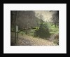 Swallows Wood by Sarah Smith