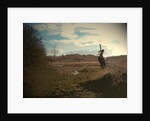 Bridleway near Quarry Workings by Sarah Smith