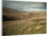 Crowden Brook from Loft Intake by Sarah Smith