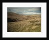 Crowden Brook from Loft Intake by Sarah Smith