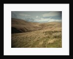 Crowden Brook from Loft Intake by Sarah Smith