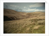 Crowden Brook from Loft Intake by Sarah Smith