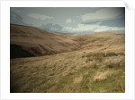 Crowden Brook from Loft Intake by Sarah Smith