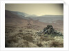 Cairn near Westend Moss by Sarah Smith