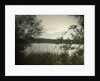 Main Pond at Carr Vale Flash Nature by Sarah Smith
