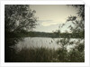 Main Pond at Carr Vale Flash Nature by Sarah Smith