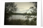 Main Pond at Carr Vale Flash Nature by Sarah Smith