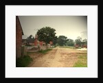 Somersal Lane Farm by Irene Johnson