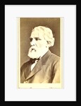 Ivan Sergeevich Turgenev by Anonymous