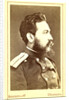 Vsevolod Vladim irovich Krestockii by Anonymous