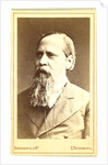 Mikhail Evgrafovich Saltykov-Shchedrin by Anonymous