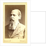 Mikhail Evgrafovich Saltykov-Shchedrin by Anonymous