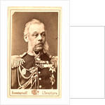 Nikola'i Alekseevich Miliutin by Anonymous