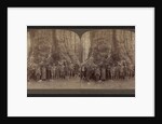 Theodore Roosevelt and his distinguished party, before the Grizley Giant, big trees of California by Anonymous