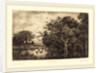 Marsh (Le Marais), probably 1851 by Charles-François Daubigny