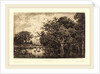 Marsh (Le Marais), probably 1851 by Charles-François Daubigny