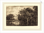 Marsh (Le Marais), probably 1851 by Charles-François Daubigny