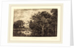 Marsh (Le Marais), probably 1851 by Charles-François Daubigny