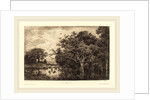 Marsh (Le Marais), probably 1851 by Charles-François Daubigny