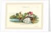 Metamorphoses of the Day: A Conventional Marriage, 1829 by Jean-Ignace-Isidore Grandville