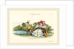 Metamorphoses of the Day: A Conventional Marriage, 1829 by Jean-Ignace-Isidore Grandville
