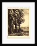 Corner of a Wood by Alphonse Legros