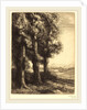 Corner of a Wood by Alphonse Legros