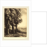Corner of a Wood by Alphonse Legros