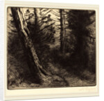 Path through the Woods by Alphonse Legros