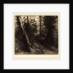 Path through the Woods by Alphonse Legros