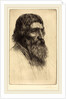 English Peasant by Alphonse Legros