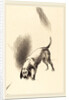 The Dog, 1896 by Odilon Redon