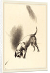 The Dog, 1896 by Odilon Redon
