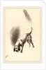 The Dog, 1896 by Odilon Redon