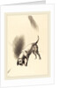 The Dog, 1896 by Odilon Redon