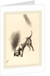 The Dog, 1896 by Odilon Redon