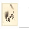 The Dog, 1896 by Odilon Redon