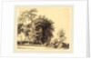 Path from St.-Gilles, St.-Jean-de-Monts, 1911 by Auguste Lepère