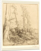 Little Pond by Alphonse Legros