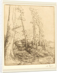 Little Pond by Alphonse Legros