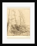 Little Pond by Alphonse Legros