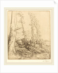 Little Pond by Alphonse Legros
