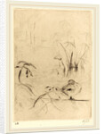 Ducks at Rest on the Bank by Berthe Morisot