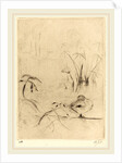Ducks at Rest on the Bank by Berthe Morisot