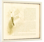 Yvette Guilbert, 1894 by Henri de Toulouse-Lautrec